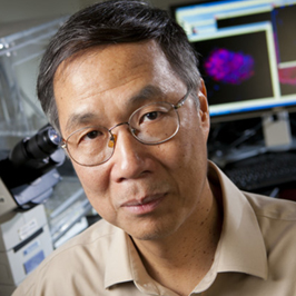 Prof. Kam Leong